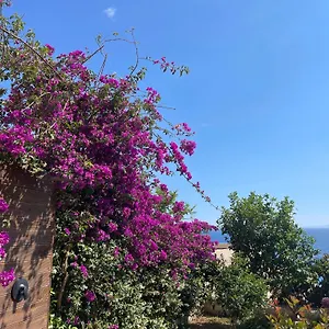 Coast 136 Dhermi